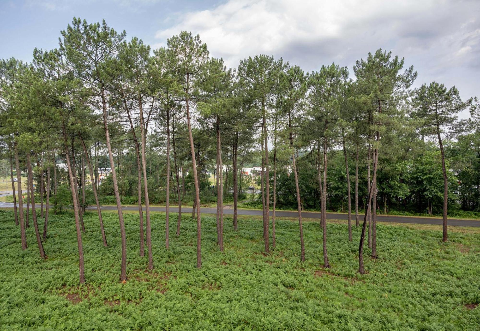 B&B Hotel Mont-De-Marsan Saint-Avit  Екстер'єр фото